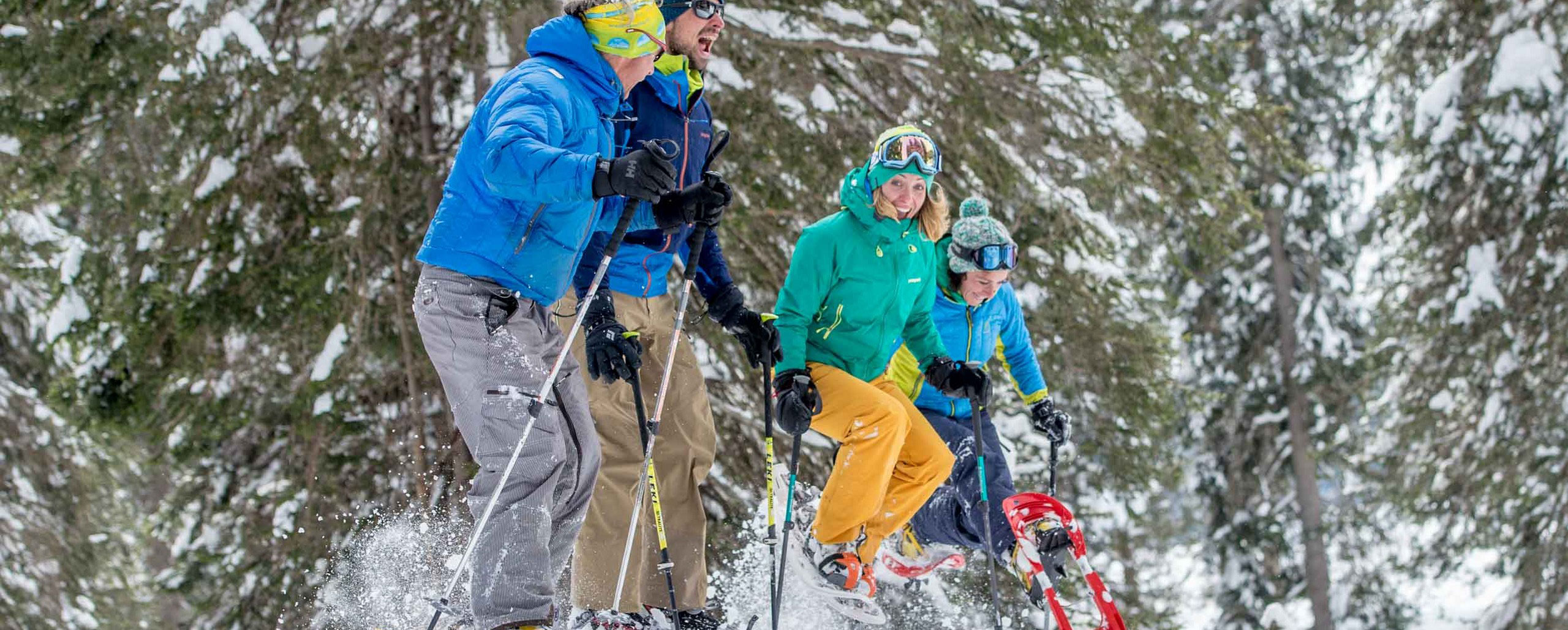 Ciaspolata nel bosco d'inverno | Parco Adamello Brenta
