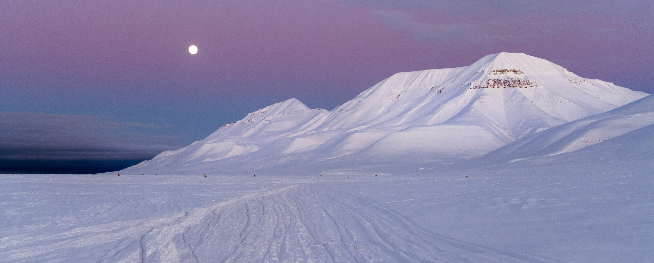 Scialpinismo alle Svalbard – Nordenskiöldland e Van Mijenfjord