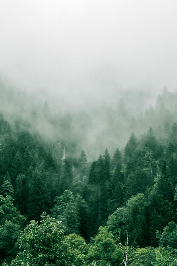 Outdoor Activities and Adventures in Trentino and Lake Garda | Mmove FRIENDS OF ARCO SRL | Mmove for Nature